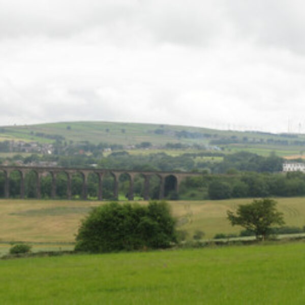 Portrait of Our Members on our Parish & Town Councils